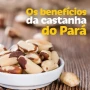 Foto 1:  Casa dos Chás